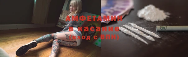 амф Арсеньев