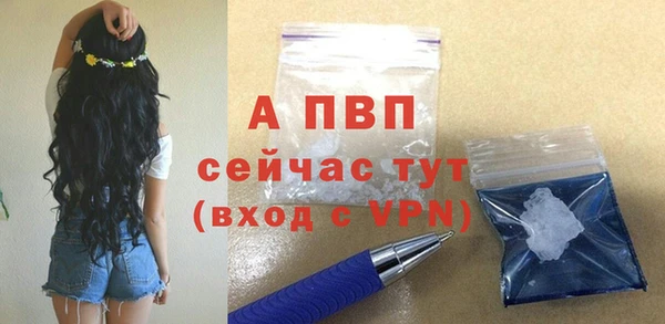 амф Аркадак
